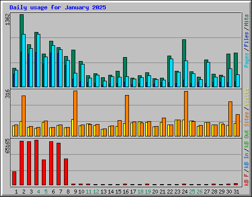 Daily usage for January 2025