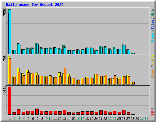 Daily usage for August 2025