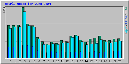 Hourly usage for June 2024