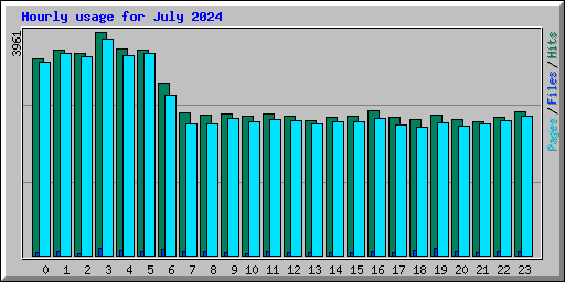 Hourly usage for July 2024