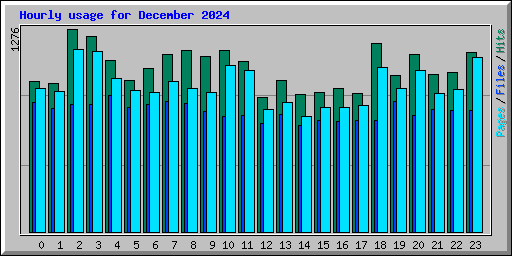 Hourly usage for December 2024