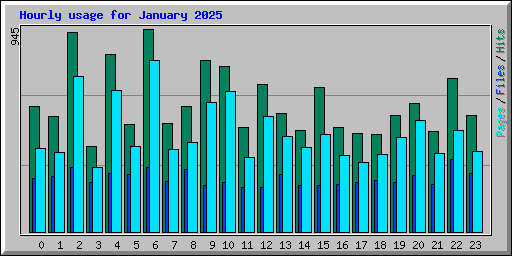 Hourly usage for January 2025