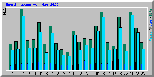 Hourly usage for May 2025
