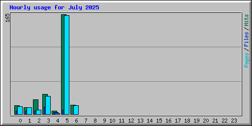 Hourly usage for July 2025