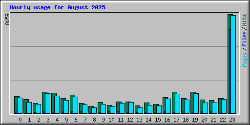 Hourly usage for August 2025