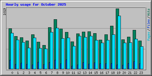 Hourly usage for October 2025