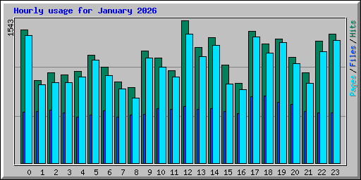 Hourly usage for January 2026