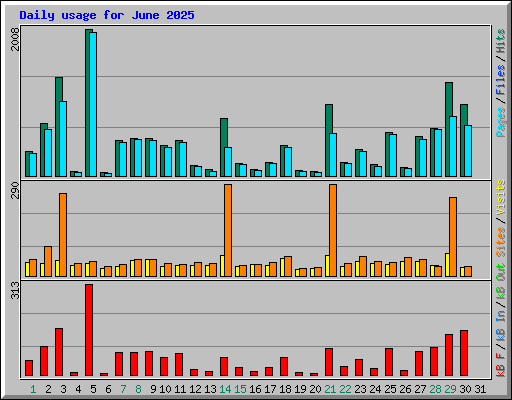 Daily usage for June 2025