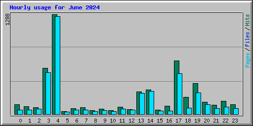 Hourly usage for June 2024