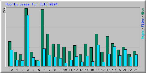 Hourly usage for July 2024