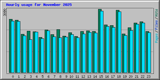 Hourly usage for November 2025