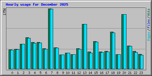 Hourly usage for December 2025