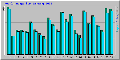 Hourly usage for January 2026