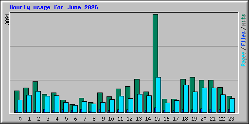 Hourly usage for June 2026
