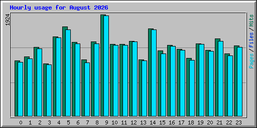 Hourly usage for August 2026